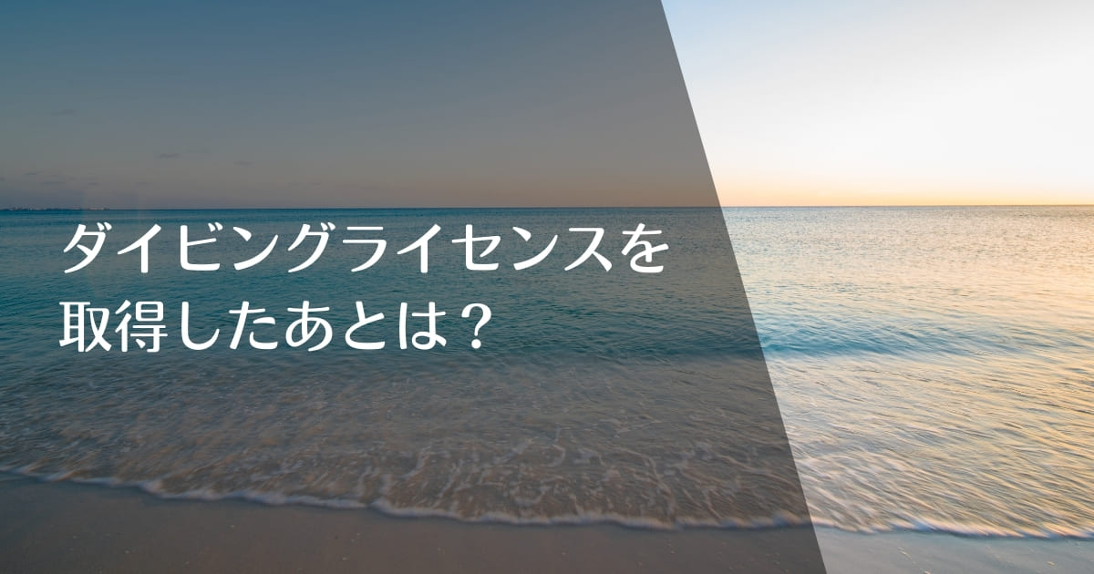 ダイビングライセンス取得後に何をすればよいかを伝えるアイキャッチ画像