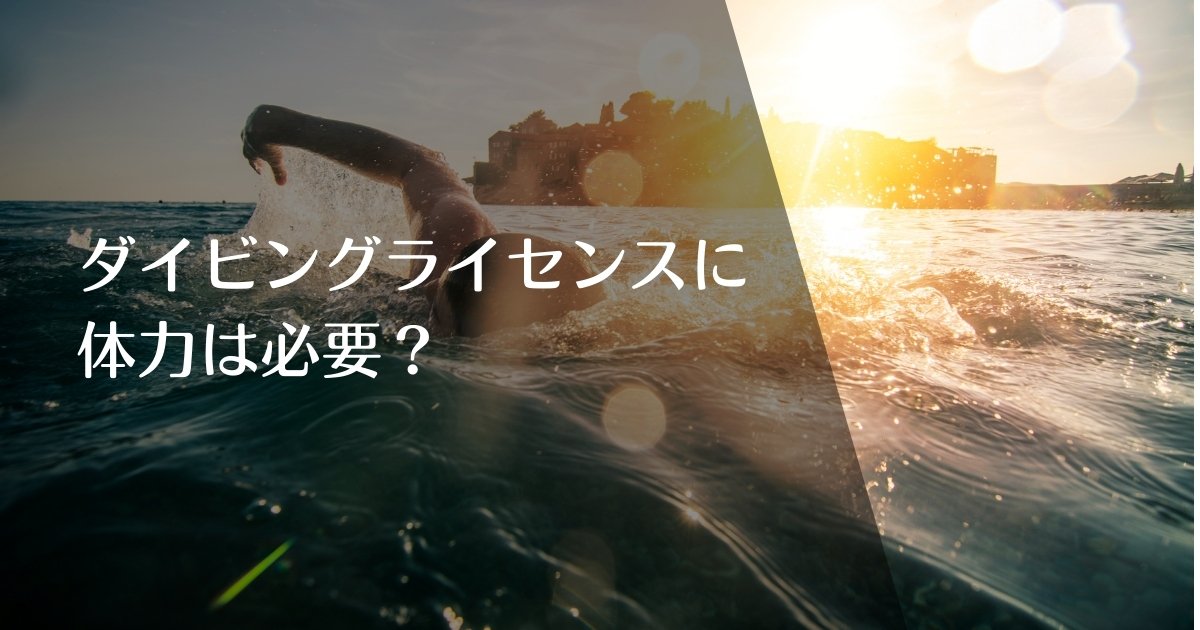 ダイビングライセンスに体力は必要?のアイキャッチ画像