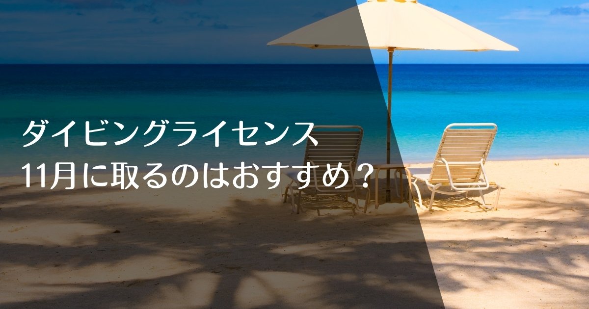 ダイビングライセンスを11月に取得するのはおすすめ？のアイキャッチ画像
