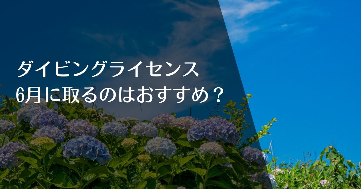 ダイビングライセンスを6月に取得するのはおすすめ？のアイキャッチ画像