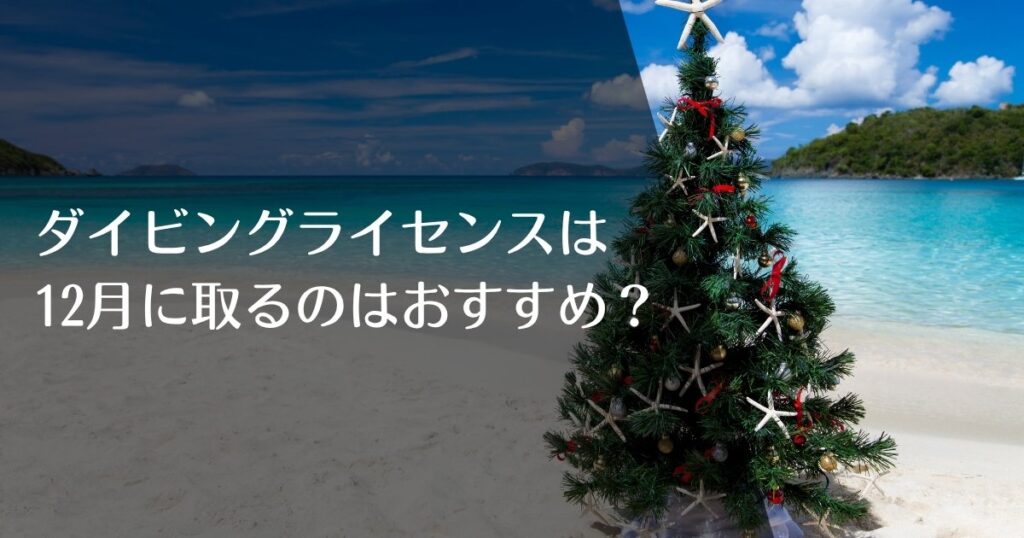 ダイビングライセンスを12月に取得するのはおすすめ？のアイキャッチ画像